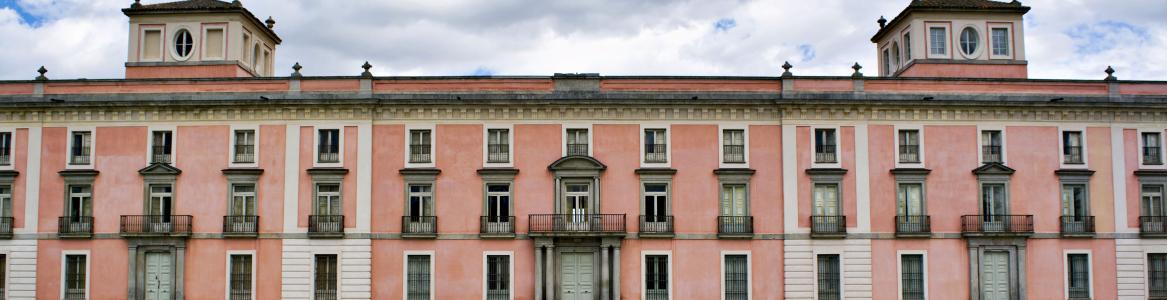 PALACIO DEL INFANTE DON LUIS DE BORBÓN