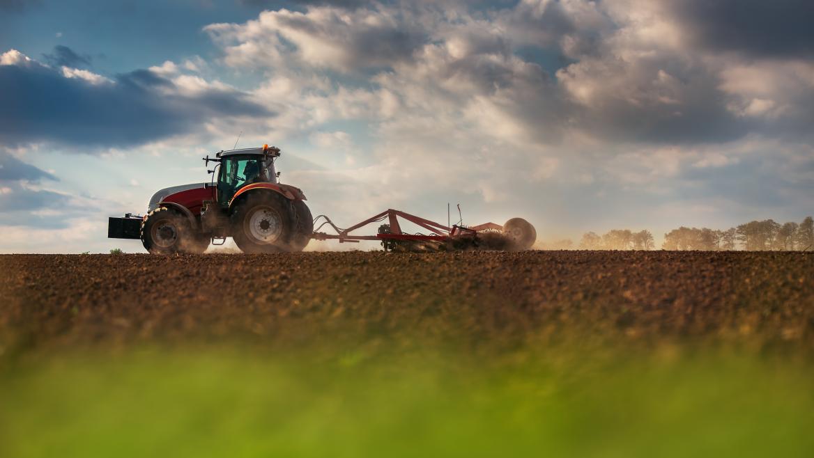 Imagen del artículo La Comunidad de Madrid adelantará más de 10 millones de euros a 2.800 agricultores y ganaderos como anticipo de la PAC