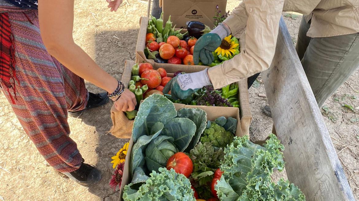 Agroliving Lab del IMIDRA