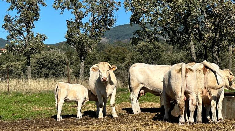 Imagen del artículo La Comunidad de Madrid aprueba el proyecto de Ley de Economía Circular que refuerza la mejora del medio ambiente y reduce la burocracia