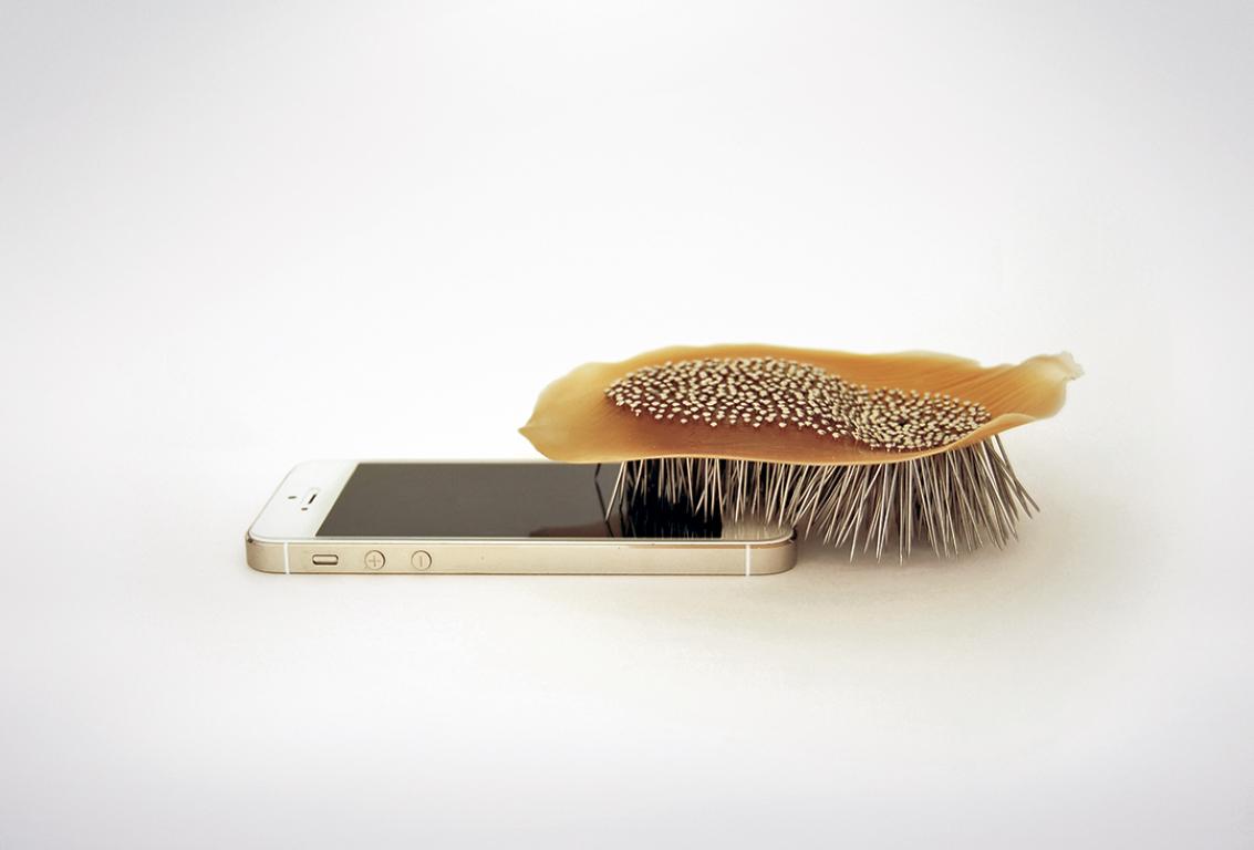 Spiked brush on a mobile