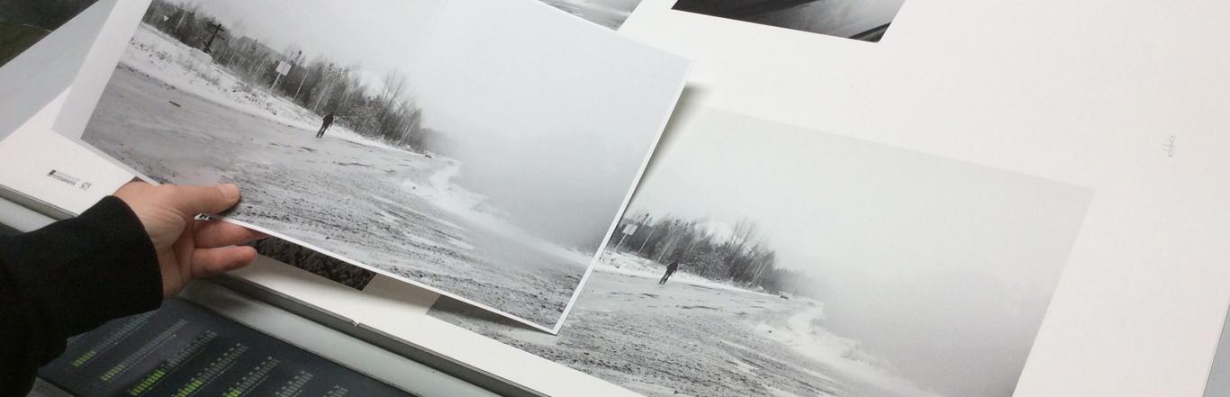 Detalle de unas fotografías de paisajes de bosques en tonos grises