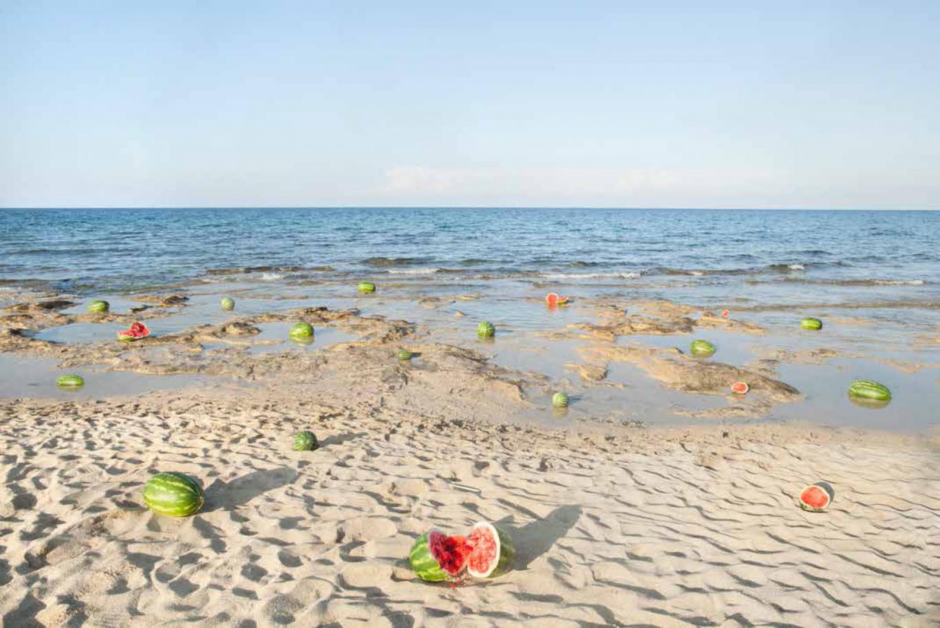 Color photo of a beach full of watermelons