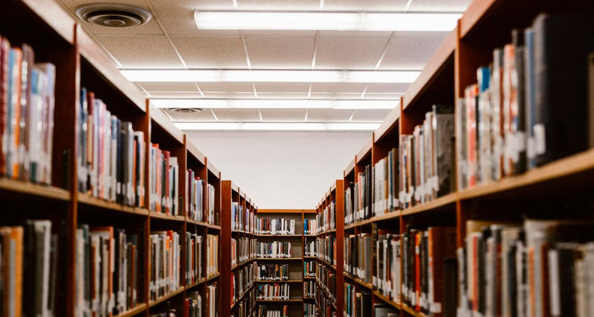 Baldas llenas de libros de una biblioteca