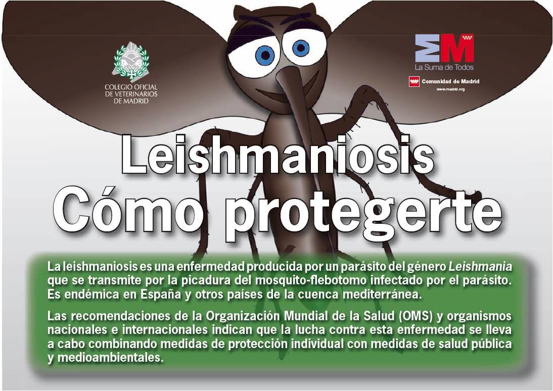 Portada de la publicación Leishmaniosis. Cómo protegerte