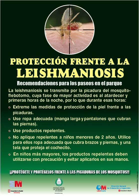 Portada de la publicación Protección frente a la Leishmaniosis. Recomendaciones para los paseos en el parque