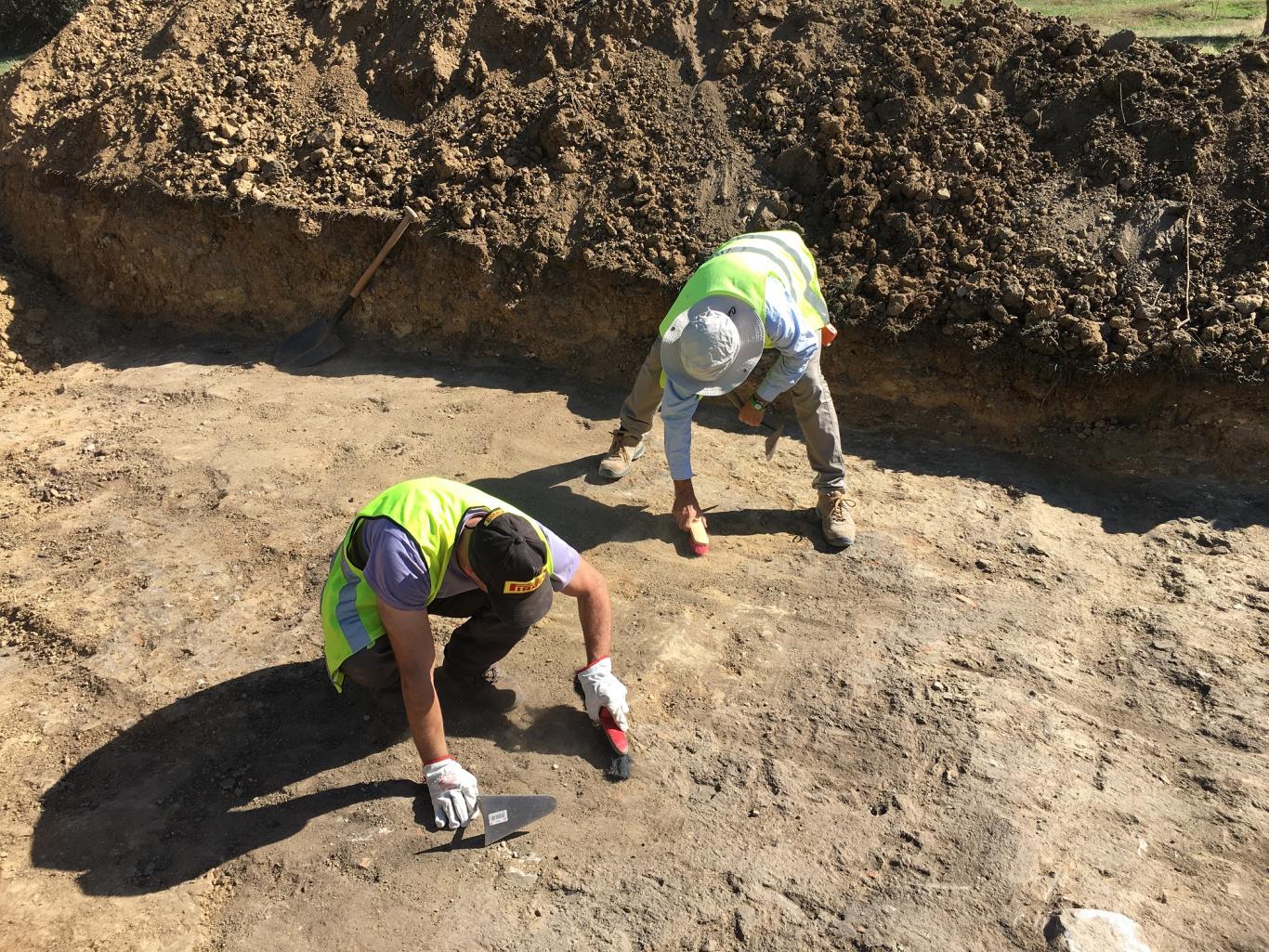 Imagen de labores de desbroce del terreno