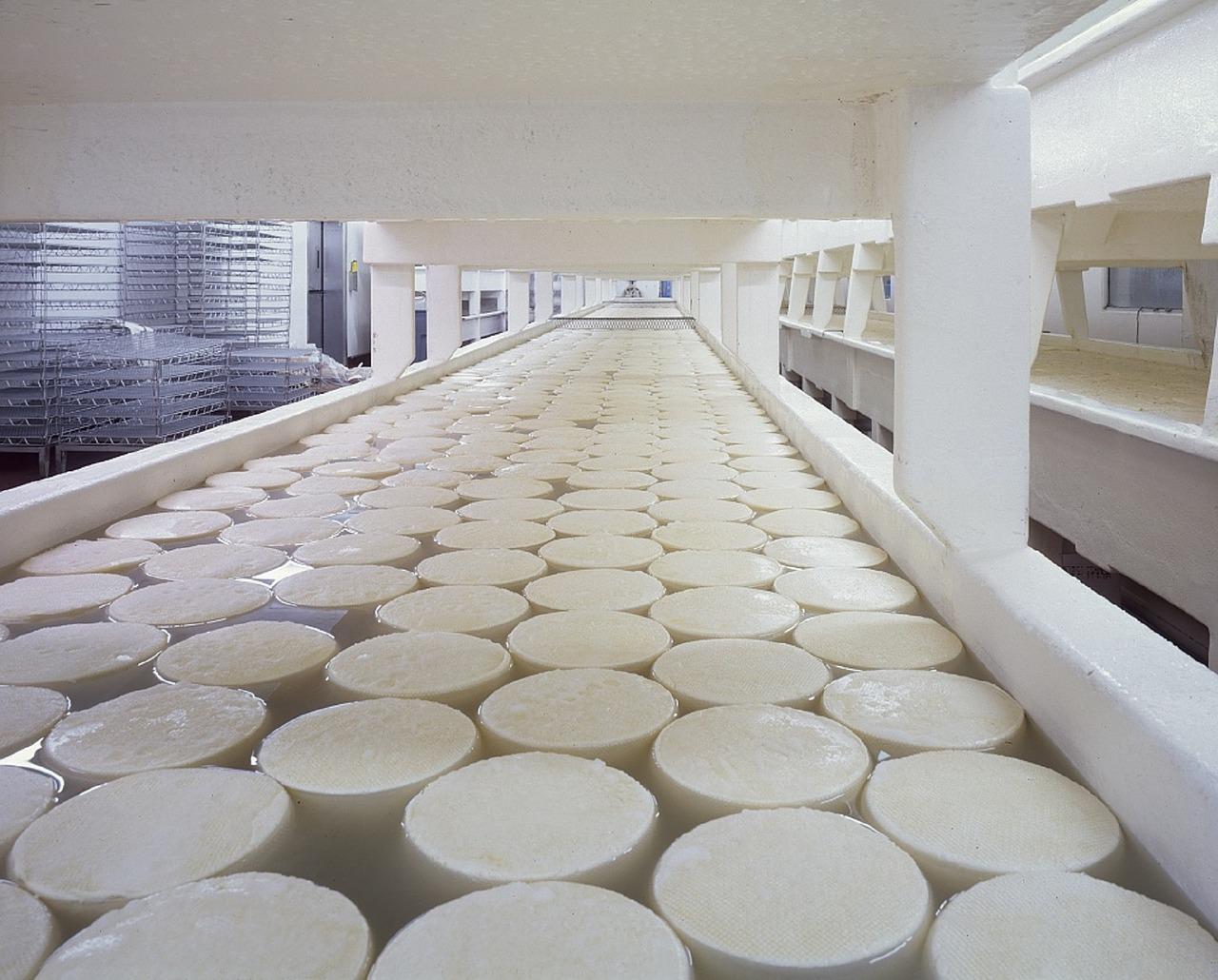Fabrica de producción de quesos