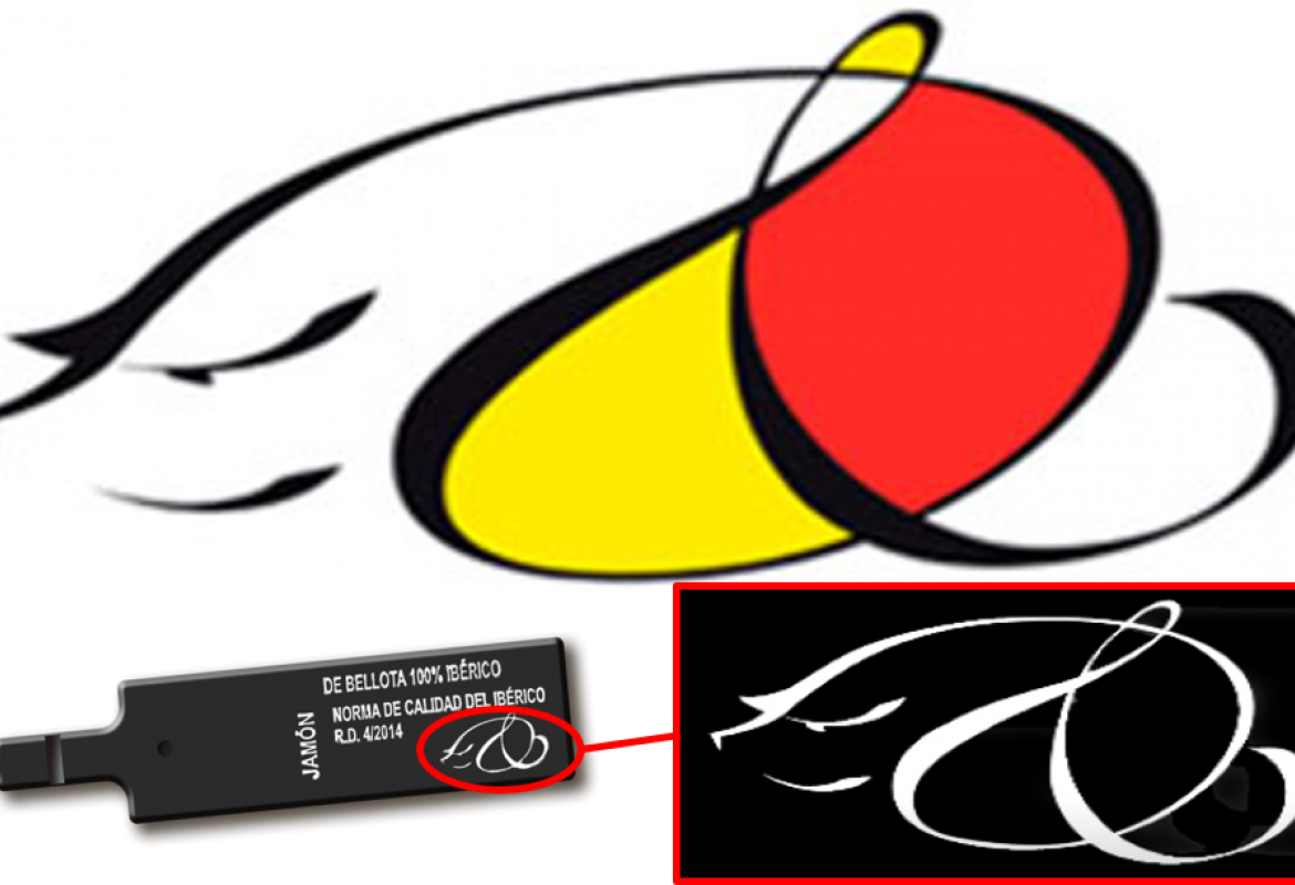 Composición del logo de ASICI en color, blanco y negro y su colocación en un precinto negro de jamón de bellota 100% ibérico