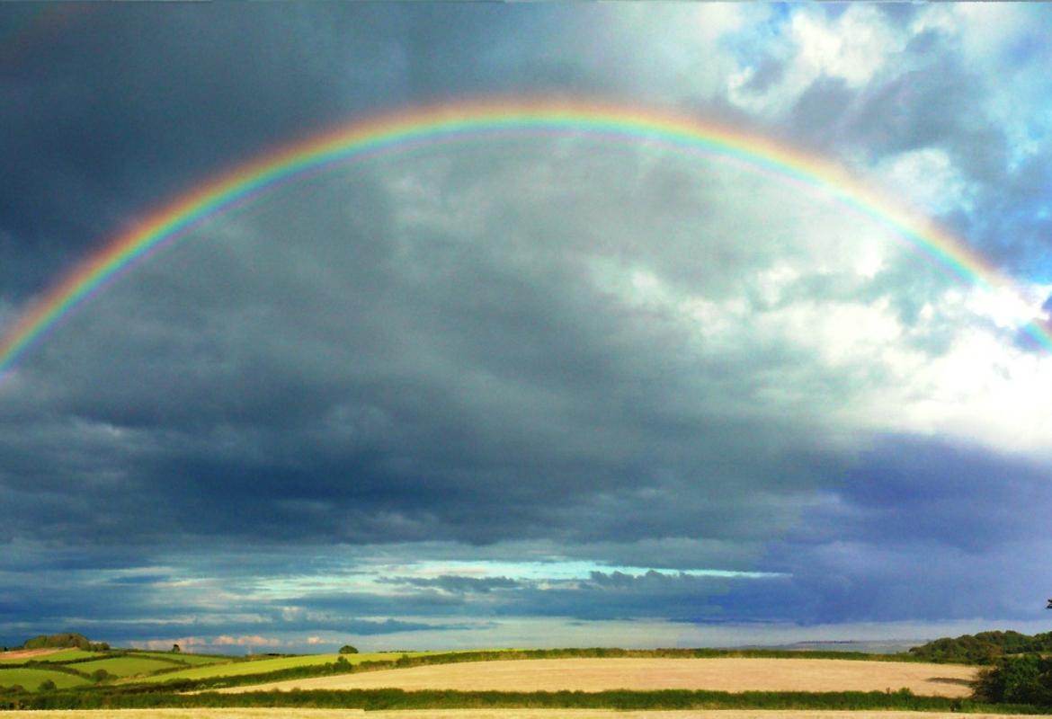 Arco iris sobre un campo cultivado