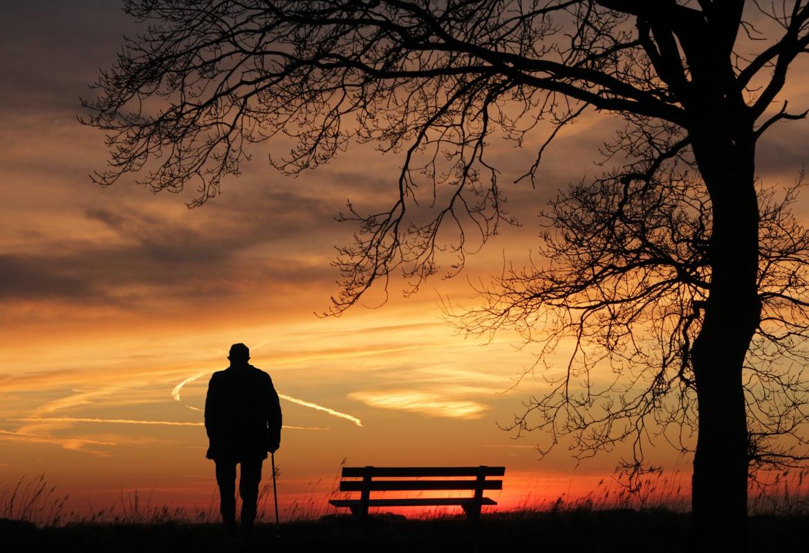 Persona mayor con un bastón, de espaldas, viendo la puesta de sol en el campo