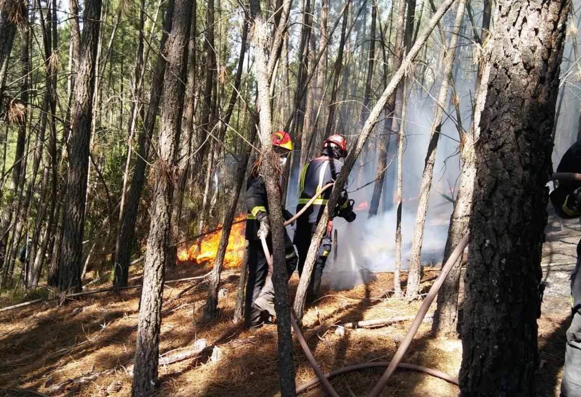 Intervención del ERICAM en los incendios de Portugal en 2017