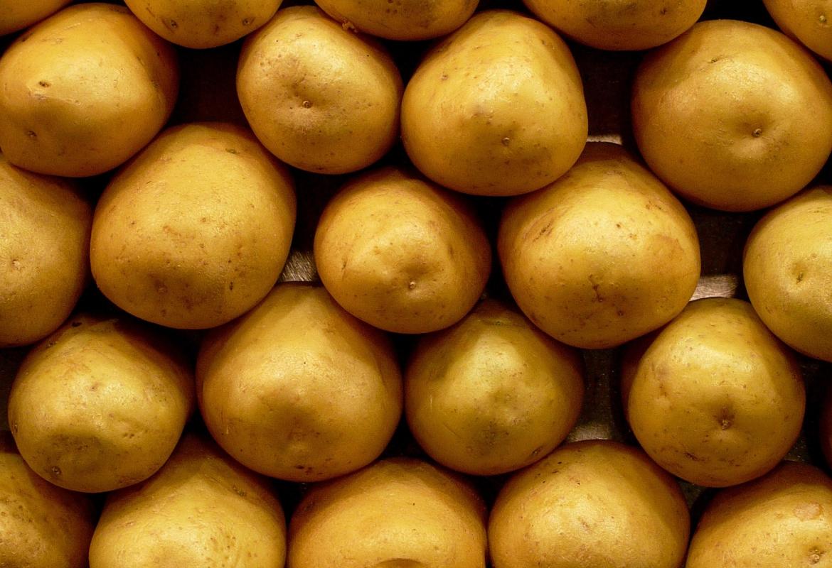 Patatas colocadas en orden