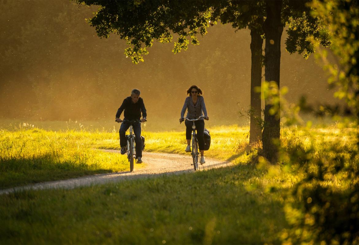 dos personas montando en bici por un parque