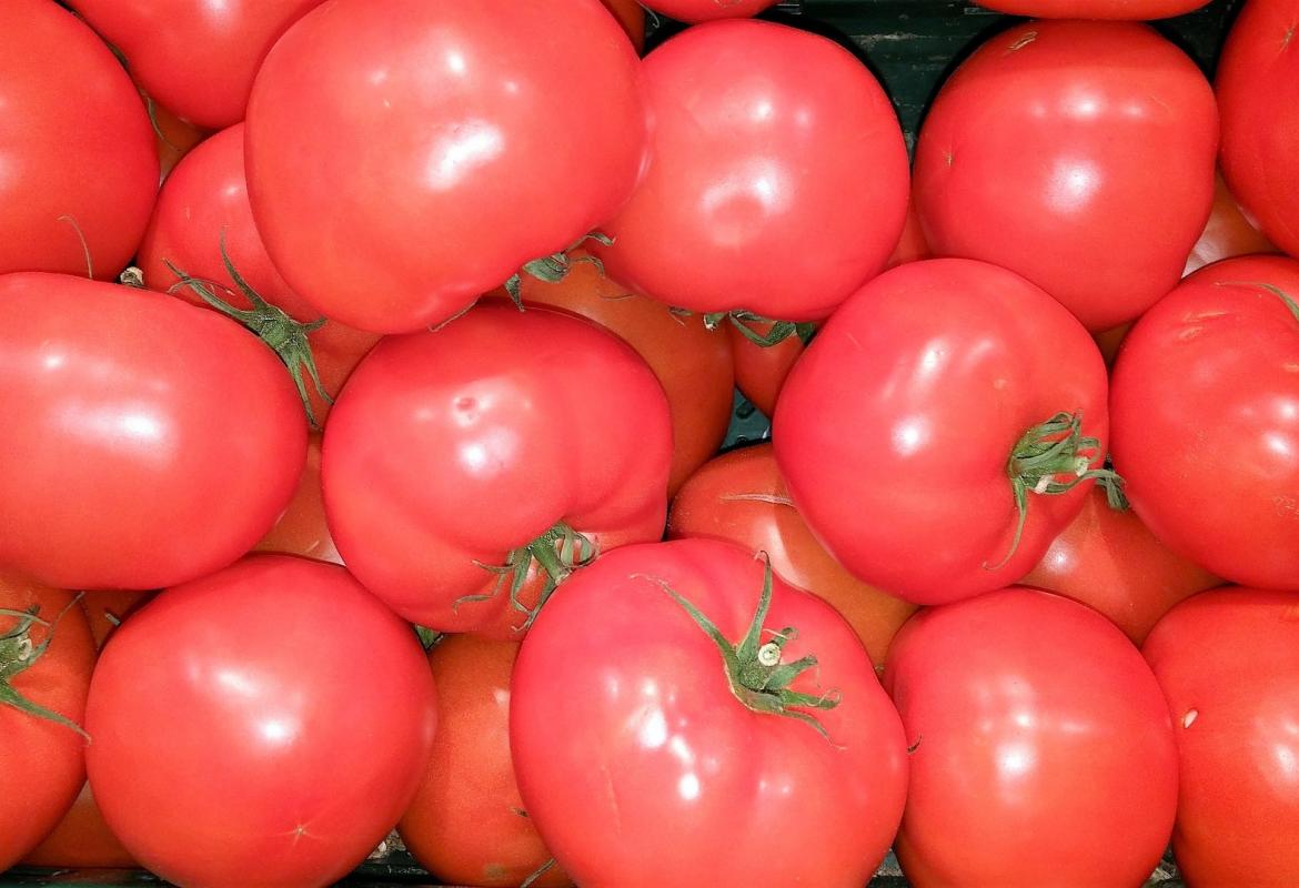 tomates_dieta