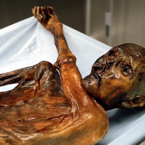 Ötzi, el hombre que vino del hielo