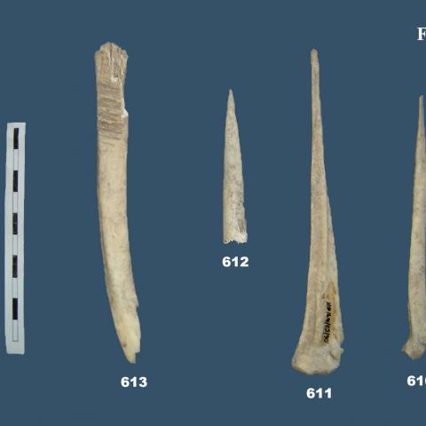Imagen de punzones de hueso del Yacimiento en Talamanca de Jarama