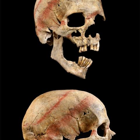 Skull of the 5 tomb with bands of cinnabar