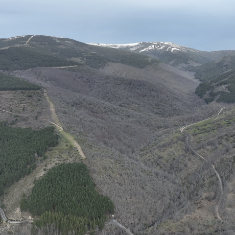 Imagen panorámica del Hayedo en invierno