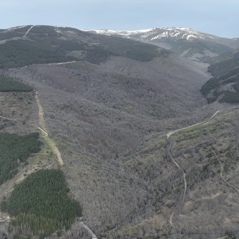 Imagen panorámica del Hayedo en invierno