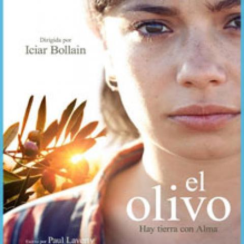 El olivo