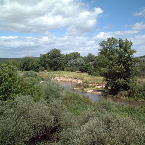Parque Regional del curso medio del río Guadarrama y su entorno